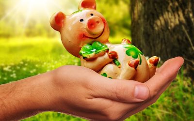 Kesalahan Umum dalam Mengisi Formulir Bea Cukai Sultan Aji Muhammad Sulaiman