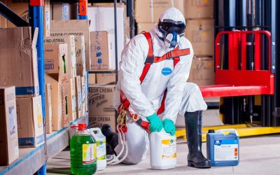 Inovasi Registrasi Bea Cukai di Sultan Aji Muhammad Sulaiman